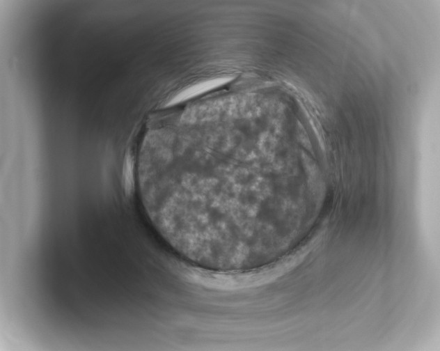X0000101090022200807241017