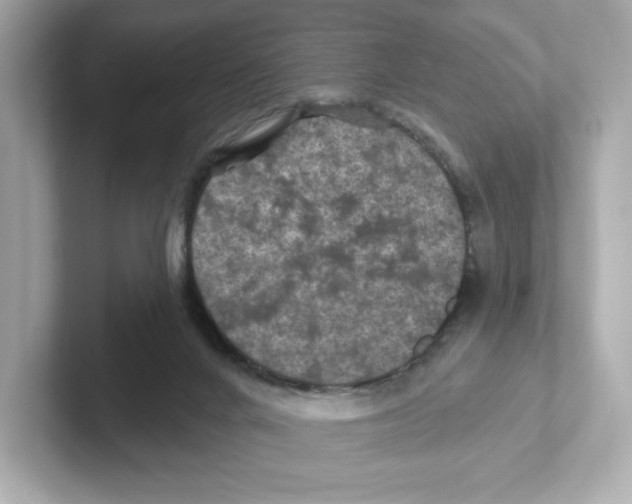 X0000101090024200807241017