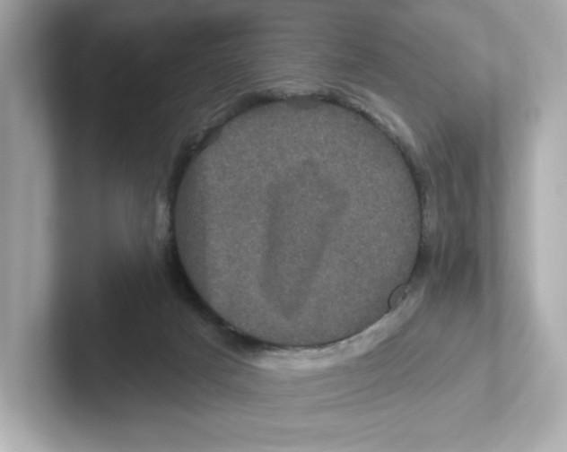 X0000101090025200807241017