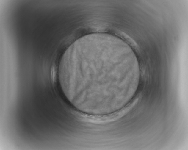 X0000101090026200807241017