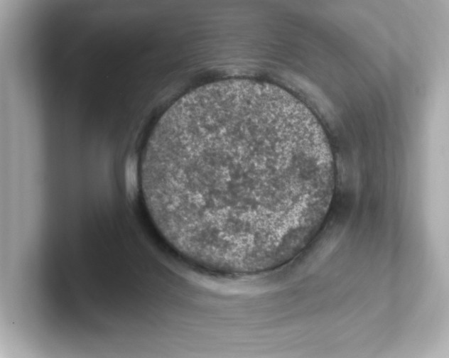 X0000101090028200807241017