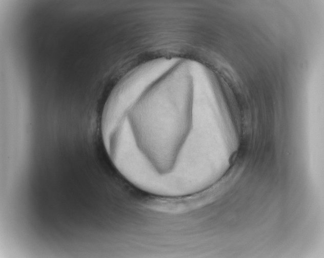 X0000101090029200807241017