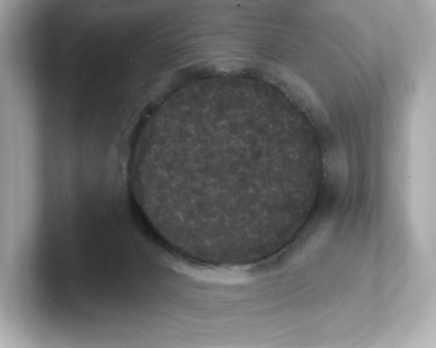 X0000101090032200807241017