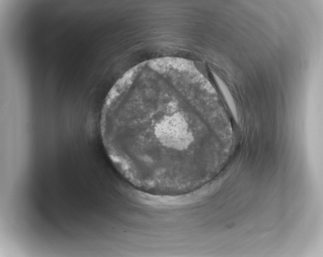 X0000101090034200807241017