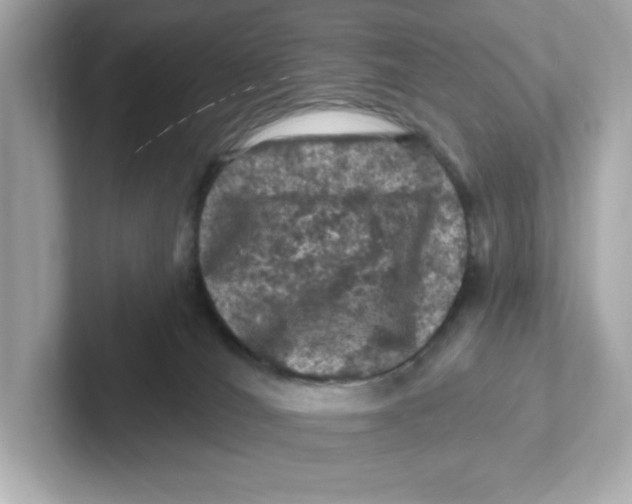 X0000101090036200807241017