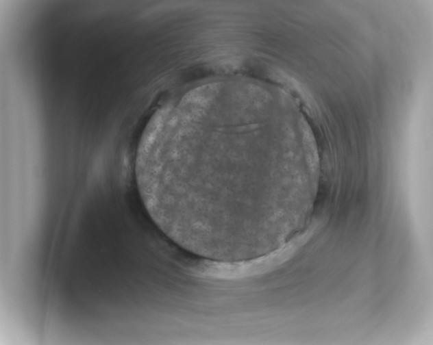 X0000101090037200807241017