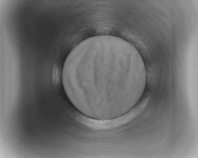 X0000101090038200807241017