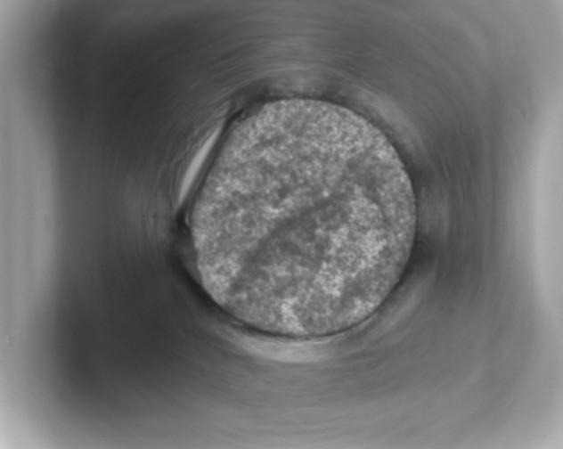 X0000101090040200807241017