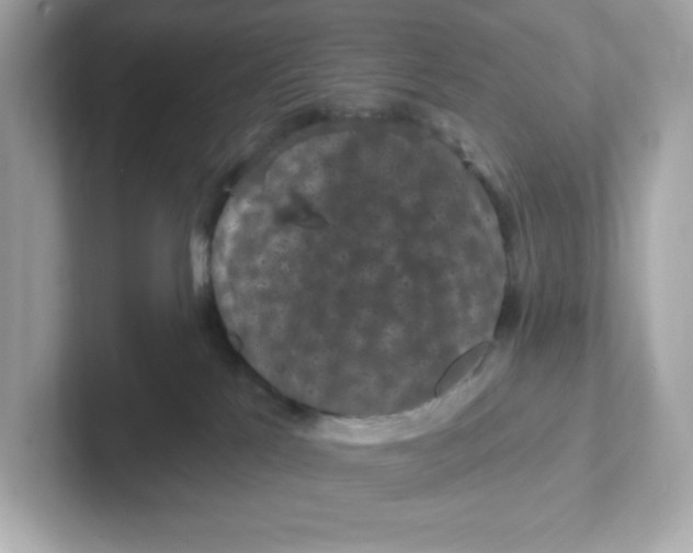 X0000101090041200807241017