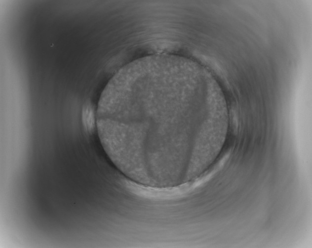X0000101090042200807241016