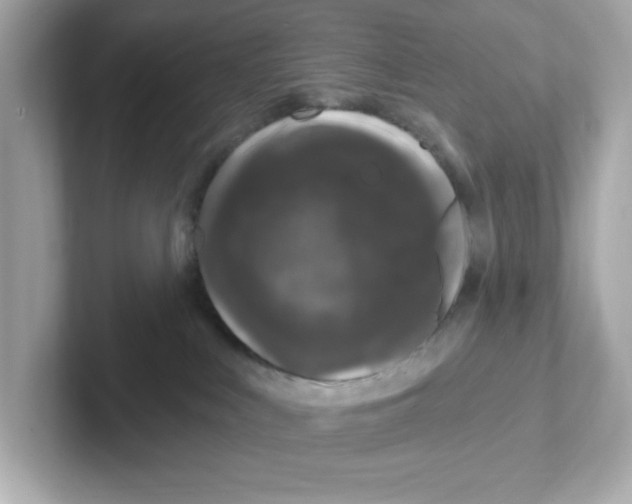 X0000101090043200807241016