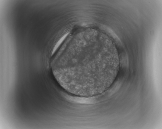 X0000101090044200807241016