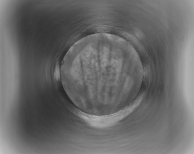 X0000101090046200807241016