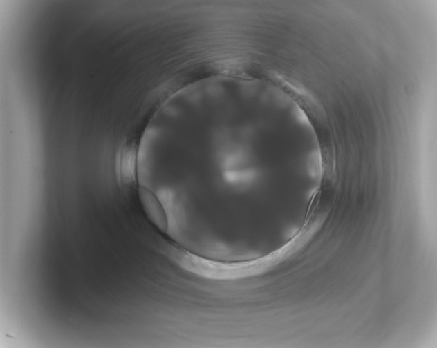 X0000101090047200807241016