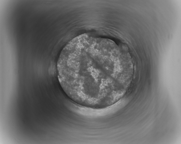 X0000101090048200807241016