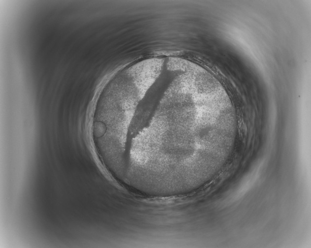 X0000101090049200807241016