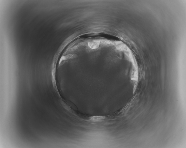 X0000101090051200807241016