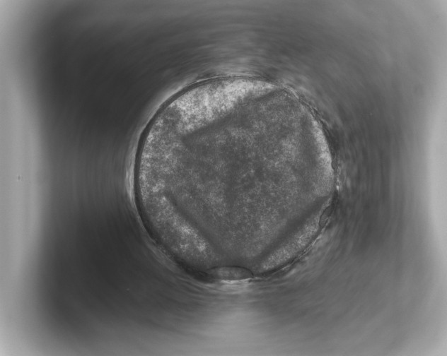 X0000101090052200807241016
