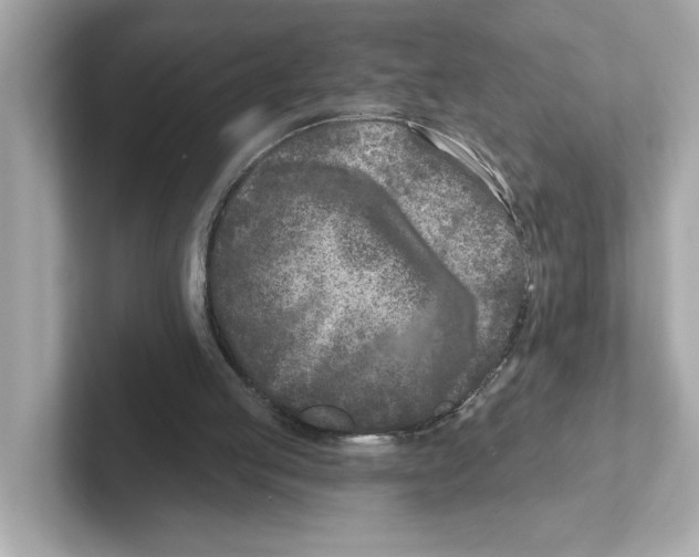 X0000101090053200807241016