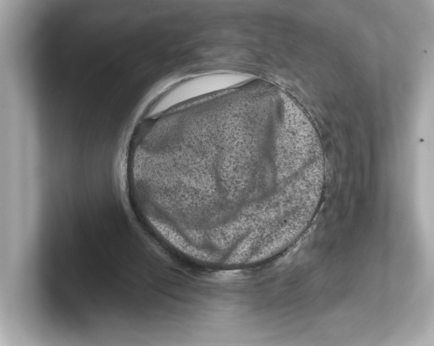 X0000101090054200807241016