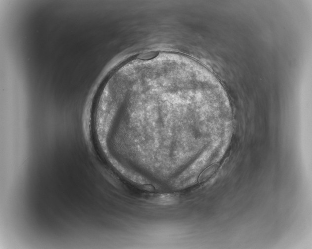 X0000101090056200807241016