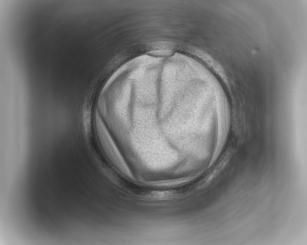 X0000101090057200807241016
