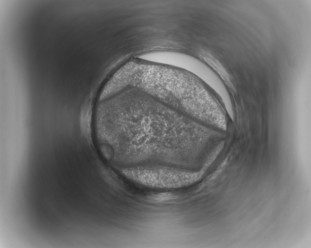 X0000101090058200807241016
