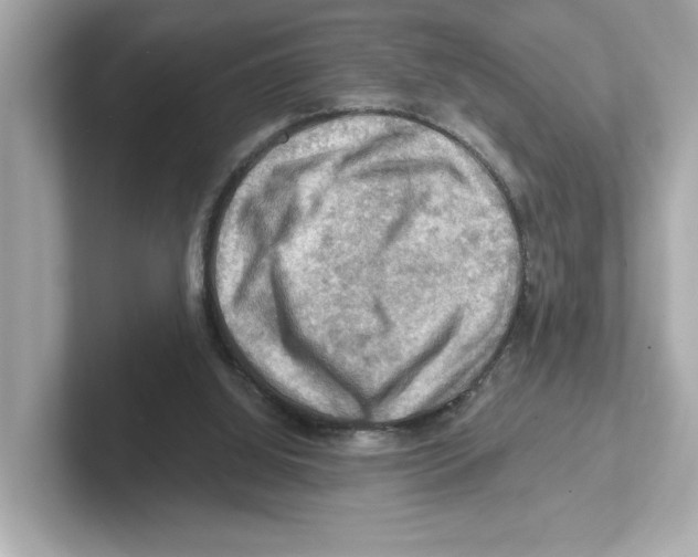 X0000101090060200807241016