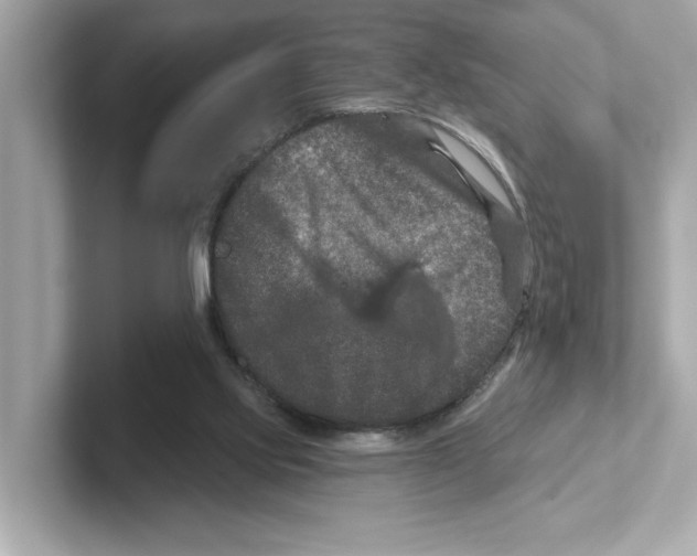 X0000101090061200807241016