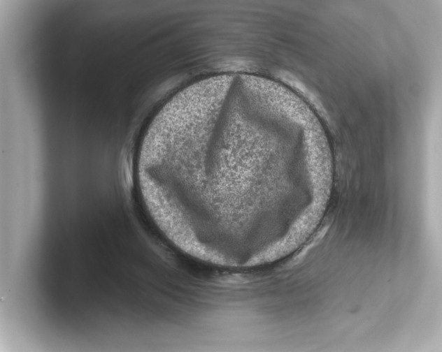 X0000101090062200807241016