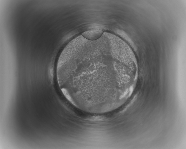 X0000101090063200807241016