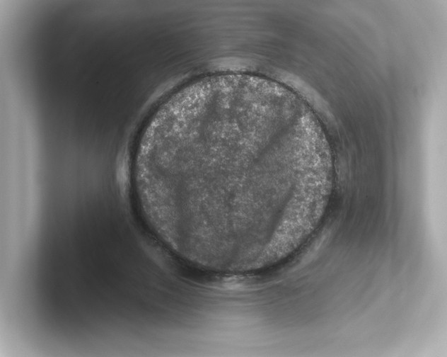X0000101090064200807241016