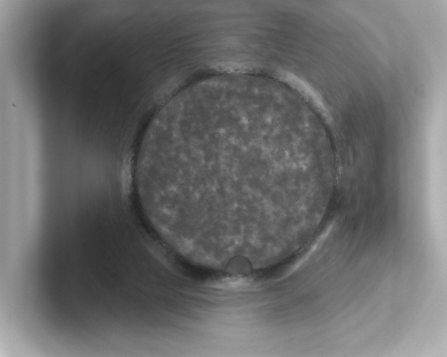 X0000101090065200807241016