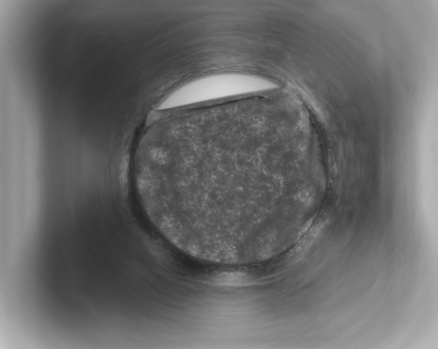 X0000101090066200807241016