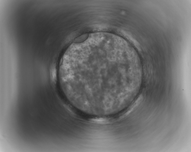 X0000101090067200807241016
