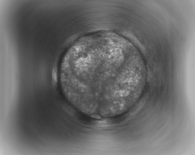 X0000101090068200807241016