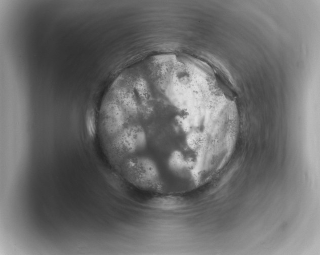 X0000101090069200807241016