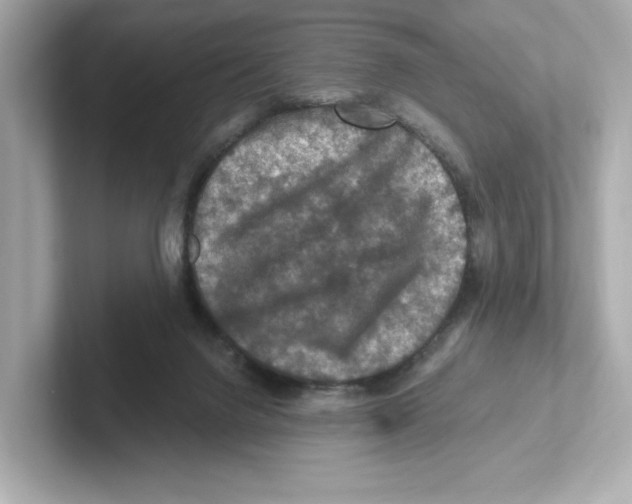 X0000101090072200807241016