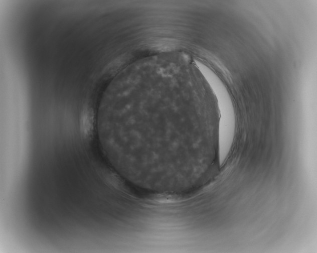 X0000101090073200807241016
