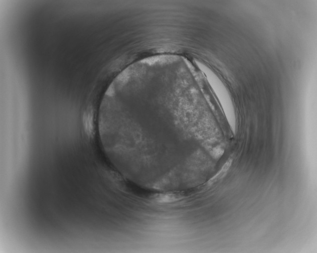 X0000101090074200807241016