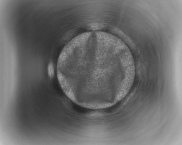 X0000101090075200807241016