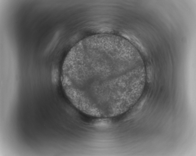 X0000101090077200807241016