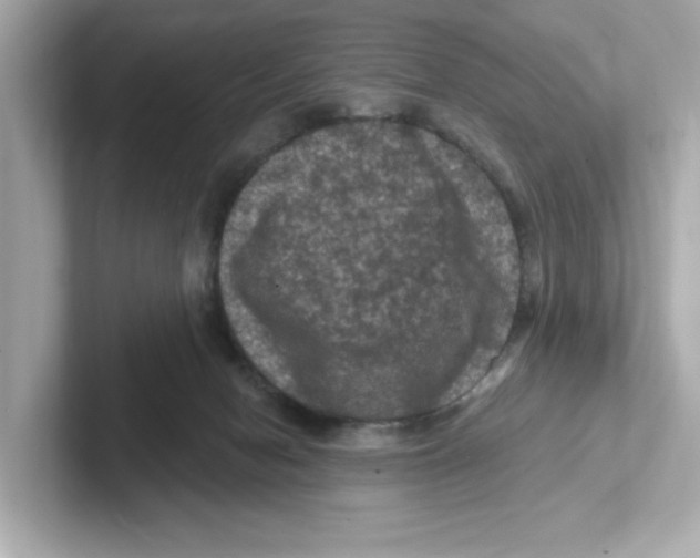 X0000101090078200807241016