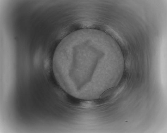 X0000101090079200807241016