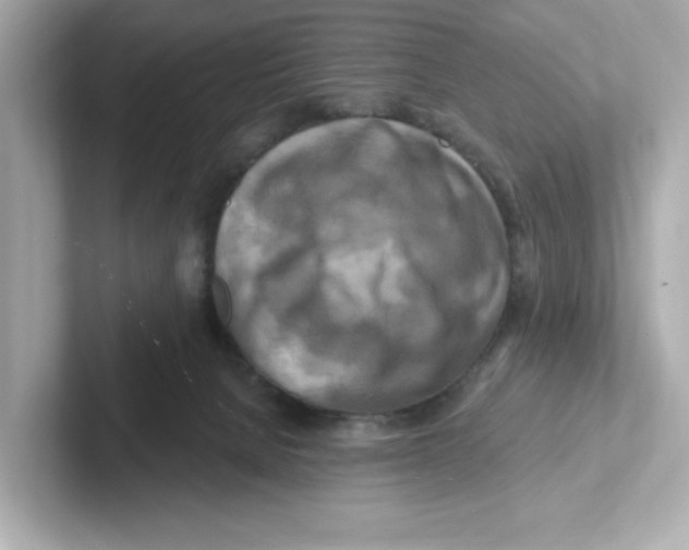 X0000101090080200807241016
