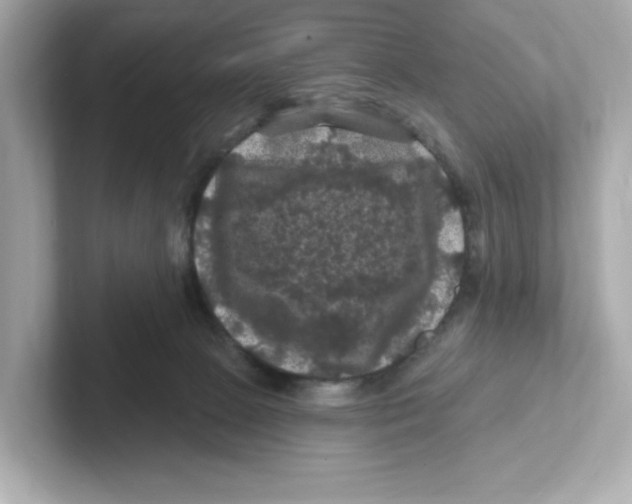 X0000101090081200807241016