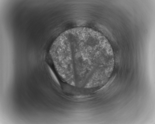 X0000101090082200807241016