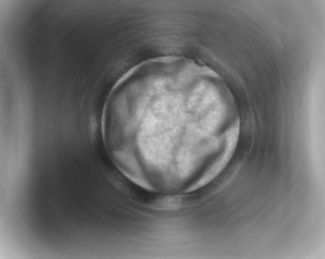 X0000101090084200807241016