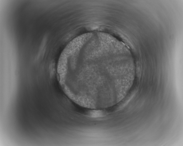 X0000101090085200807241016