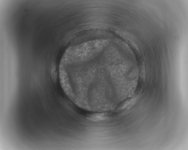 X0000101090086200807241016